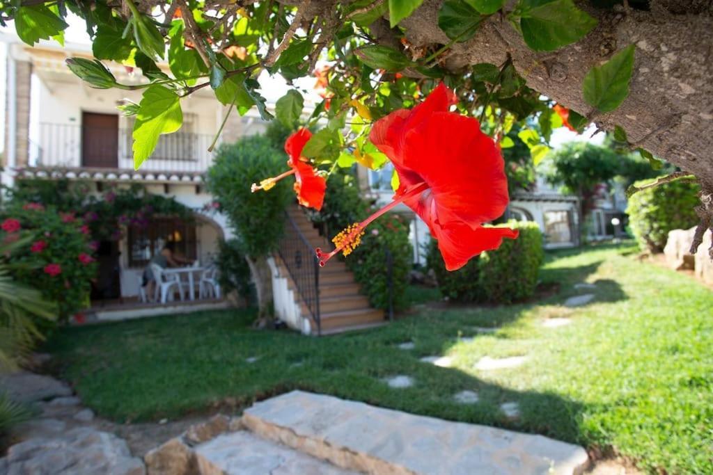 Casa En Denia Con Piscina Y Jardin Appartement Buitenkant foto